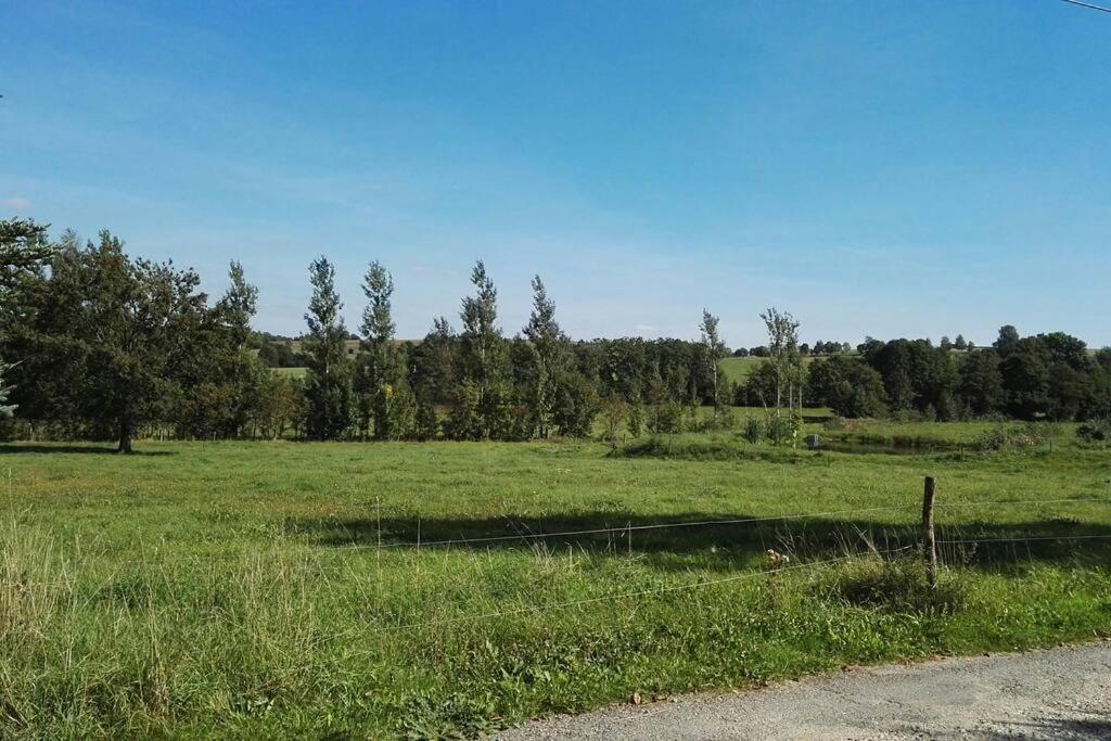 Ferienwohnung In Mittelsaida Grosshartmannsdorf Eksteriør billede